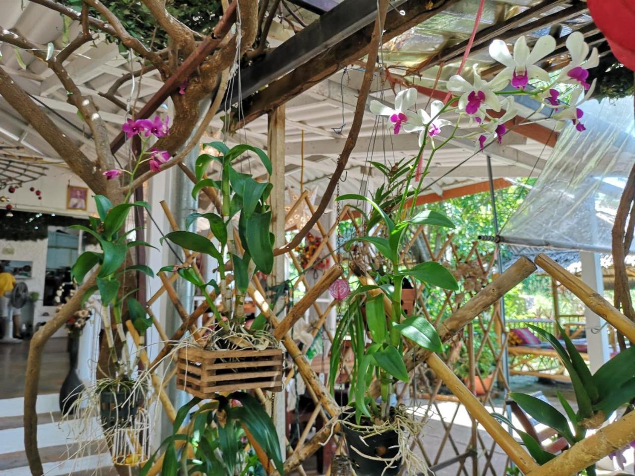 Patty'S Secret Garden Hotel Ko Lanta Kültér fotó